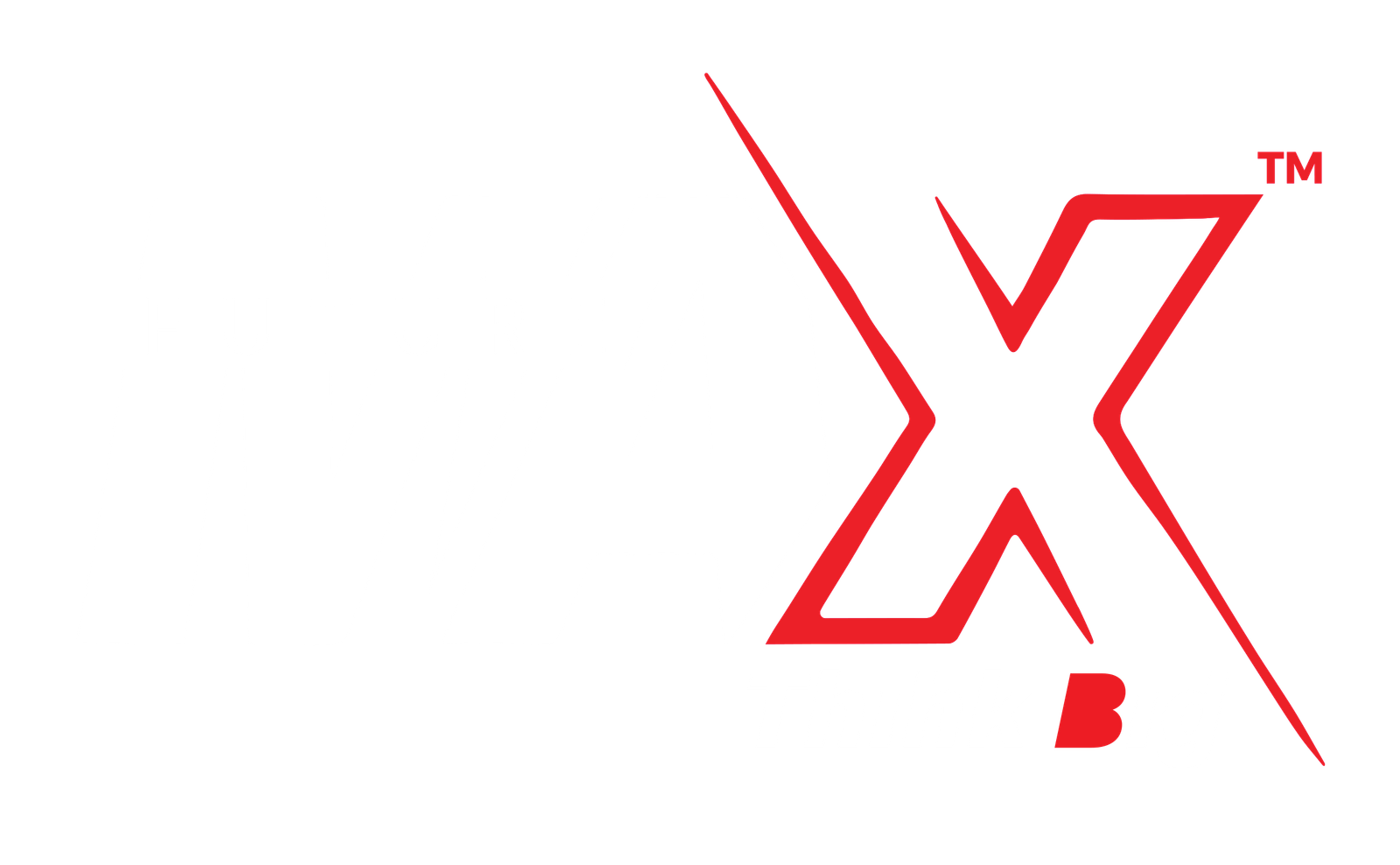 FUTURE MAX